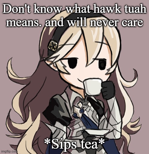 Corrin Being Smug While Drinking Tea | Don't know what hawk tuah means. and will never care; *Sips tea* | image tagged in corrin being smug while drinking tea | made w/ Imgflip meme maker