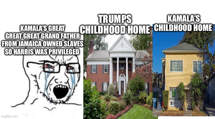 You cant do that | TRUMPS CHILDHOOD HOME; KAMALA’S CHILDHOOD HOME; KAMALA’S GREAT GREAT GREAT GRAND FATHER FROM JAMAICA OWNED SLAVES SO HARRIS WAS PRIVILEGED | image tagged in you cant do that | made w/ Imgflip meme maker