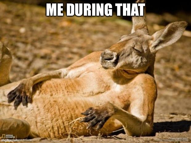 Chillin Kangaroo | ME DURING THAT | image tagged in chillin kangaroo | made w/ Imgflip meme maker