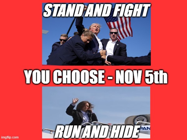 You Choose - Nov 5th | STAND AND FIGHT; YOU CHOOSE - NOV 5th; RUN AND HIDE | made w/ Imgflip meme maker