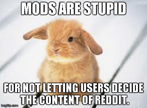 MODS ARE STUPID FOR NOT LETTING USERS DECIDE THE CONTENT OF REDDIT. | image tagged in opinionated bunny,AdviceAnimals | made w/ Imgflip meme maker