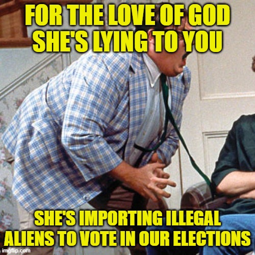 Chris Farley For the love of god | FOR THE LOVE OF GOD
SHE'S LYING TO YOU; SHE'S IMPORTING ILLEGAL ALIENS TO VOTE IN OUR ELECTIONS | image tagged in chris farley for the love of god | made w/ Imgflip meme maker