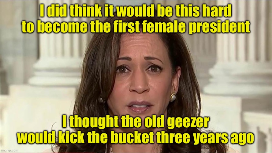 Tough Luck | I did think it would be this hard to become the first female president; I thought the old geezer would kick the bucket three years ago | image tagged in kamala harris | made w/ Imgflip meme maker