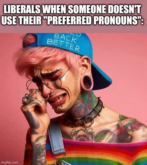 IT MAKES THEM CRY GUYS | LIBERALS WHEN SOMEONE DOESN'T USE THEIR "PREFERRED PRONOUNS": | image tagged in liberals,democrats,pronouns,politics | made w/ Imgflip meme maker