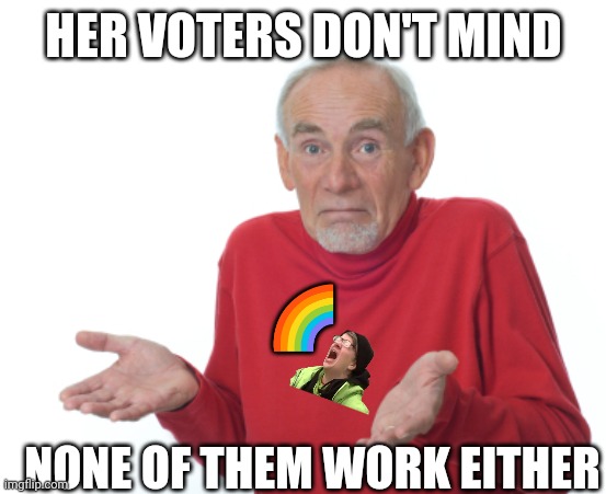 Guess I'll die  | HER VOTERS DON'T MIND NONE OF THEM WORK EITHER ? | image tagged in guess i'll die | made w/ Imgflip meme maker