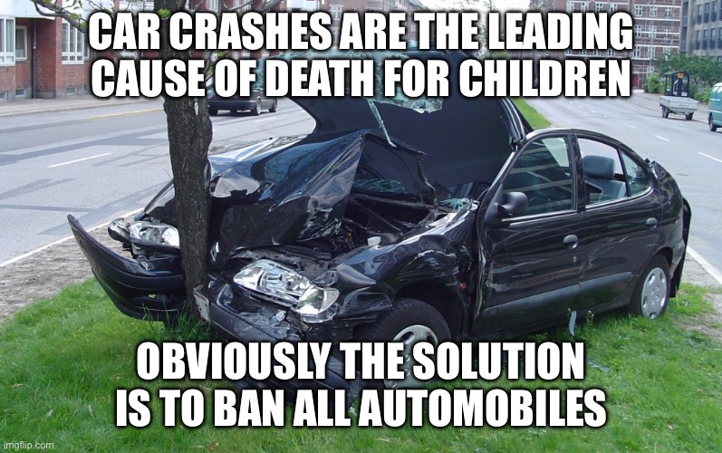 Car Crash | CAR CRASHES ARE THE LEADING CAUSE OF DEATH FOR CHILDREN OBVIOUSLY THE SOLUTION IS TO BAN ALL AUTOMOBILES | image tagged in car crash | made w/ Imgflip meme maker