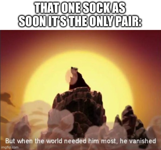 But when the world needed him most, he vanished | THAT ONE SOCK AS SOON IT’S THE ONLY PAIR: | image tagged in but when the world needed him most he vanished | made w/ Imgflip meme maker