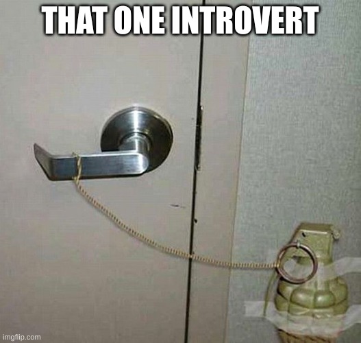 Introverts be like... | THAT ONE INTROVERT | image tagged in grenade door handle | made w/ Imgflip meme maker