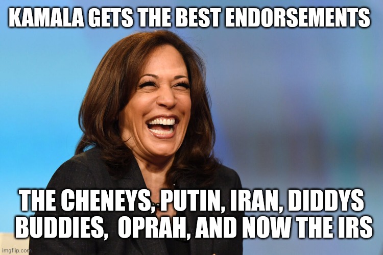 Look who her friends are | KAMALA GETS THE BEST ENDORSEMENTS; THE CHENEYS, PUTIN, IRAN, DIDDYS  BUDDIES,  OPRAH, AND NOW THE IRS | image tagged in kamala harris laughing | made w/ Imgflip meme maker