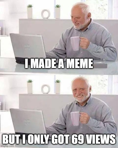 Meme | I MADE A MEME; BUT I ONLY GOT 69 VIEWS | image tagged in memes,hide the pain harold,69,idk | made w/ Imgflip meme maker