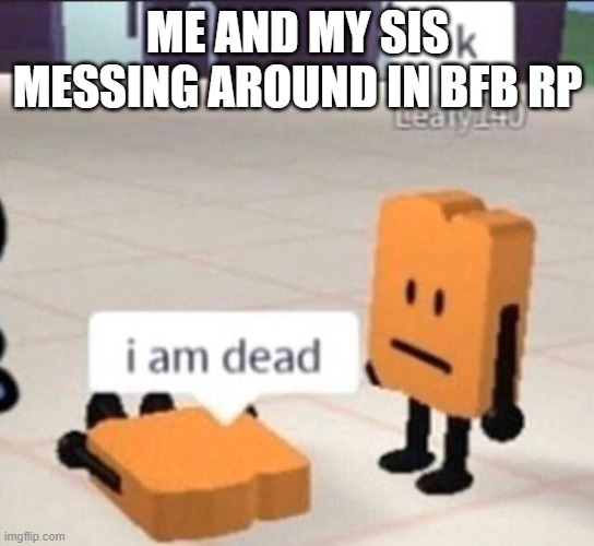 Woody | ME AND MY SIS MESSING AROUND IN BFB RP | image tagged in woody | made w/ Imgflip meme maker