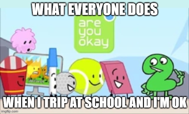 BFDI "Are you okay" | WHAT EVERYONE DOES; WHEN I TRIP AT SCHOOL AND I'M OK | image tagged in bfdi are you okay | made w/ Imgflip meme maker