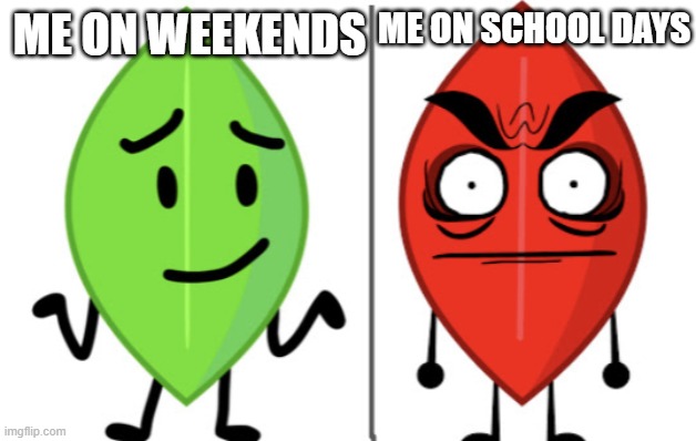 me | ME ON SCHOOL DAYS; ME ON WEEKENDS | image tagged in leafy vs evil leafy | made w/ Imgflip meme maker