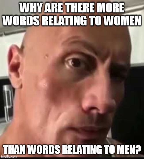 im not sextist, i just think there should be 50/50 | WHY ARE THERE MORE WORDS RELATING TO WOMEN; THAN WORDS RELATING TO MEN? | image tagged in dwayne johnson eyebrow raise,memes | made w/ Imgflip meme maker