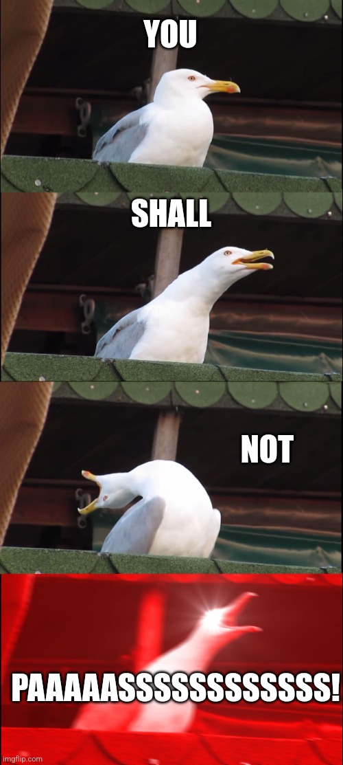 Gandalf, you're looking small today... | YOU; SHALL; NOT; PAAAAASSSSSSSSSSSS! | image tagged in memes,inhaling seagull | made w/ Imgflip meme maker