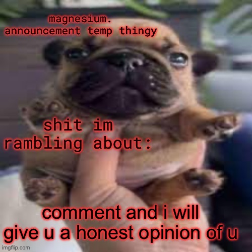 pug temp | comment and i will give u a honest opinion of u | image tagged in pug temp | made w/ Imgflip meme maker