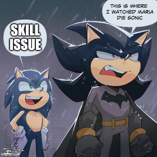 Shadow and sonic | SKILL ISSUE | image tagged in shadow and sonic | made w/ Imgflip meme maker