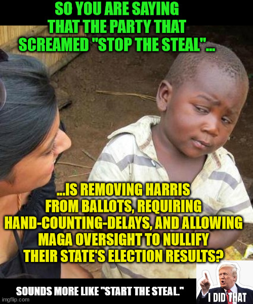 Cheating is the only strategy in the Republican playbook. | SO YOU ARE SAYING THAT THE PARTY THAT SCREAMED "STOP THE STEAL"... ...IS REMOVING HARRIS FROM BALLOTS, REQUIRING HAND-COUNTING-DELAYS, AND ALLOWING MAGA OVERSIGHT TO NULLIFY THEIR STATE'S ELECTION RESULTS? SOUNDS MORE LIKE "START THE STEAL." | image tagged in election fraud,montana,georgia,coup,insurrection | made w/ Imgflip meme maker