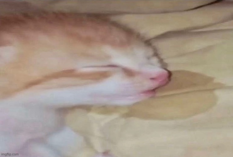 Me fr | made w/ Imgflip meme maker