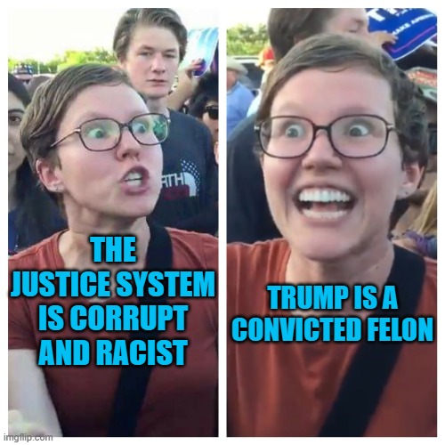 Funny how that works | TRUMP IS A CONVICTED FELON; THE JUSTICE SYSTEM IS CORRUPT AND RACIST | image tagged in social justice warrior hypocrisy,sjw,donald trump approves,felon | made w/ Imgflip meme maker