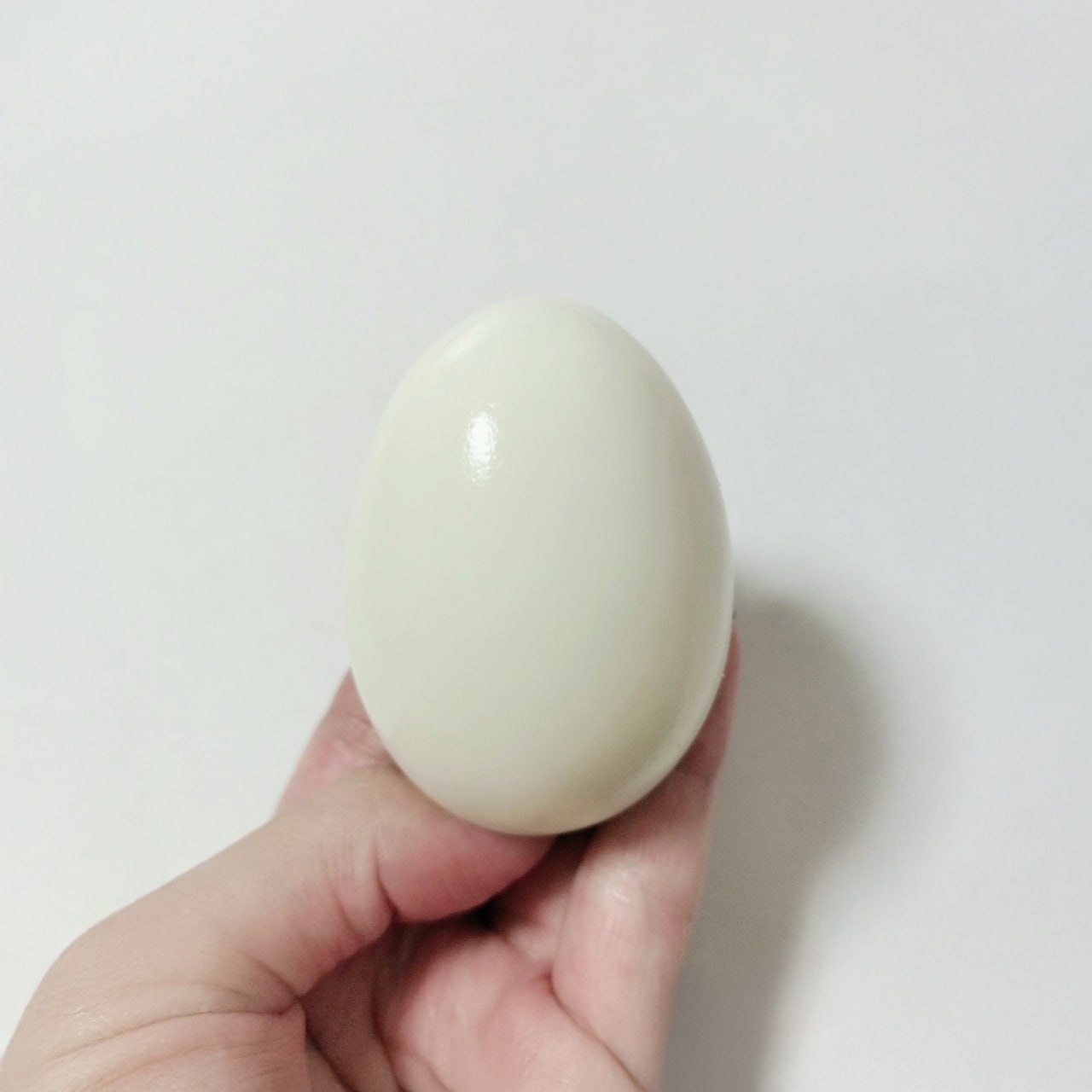 eggy Blank Meme Template