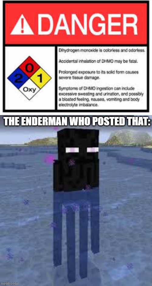 "me hate water help me" -wise enderman | THE ENDERMAN WHO POSTED THAT: | image tagged in cursed enderman,water,minecraft,science,enderman | made w/ Imgflip meme maker