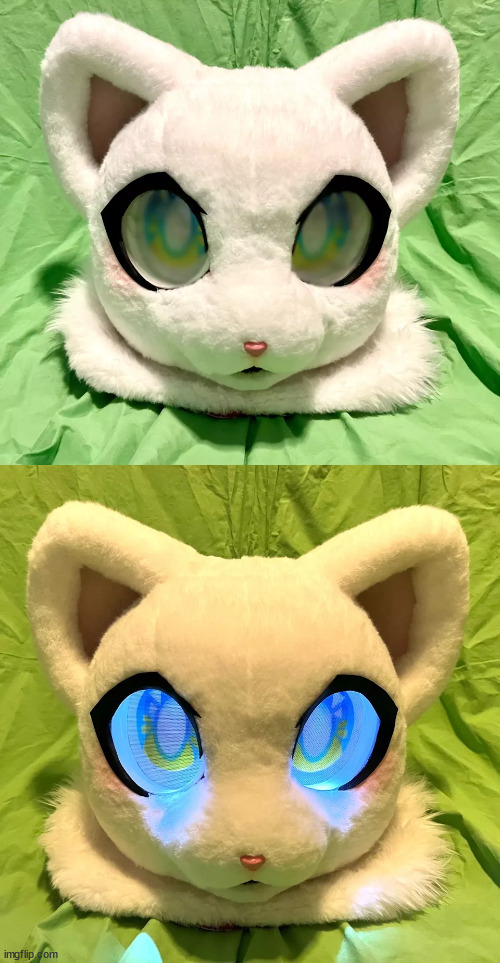 got my fursuit head today! i love it so much! its a kenono! fluffy the cat fursuit! | image tagged in aww,furry | made w/ Imgflip meme maker