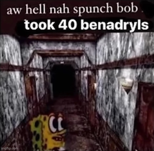 aw hell nah spunch bob took 40 benadryls | image tagged in aw hell nah spunch bob took 40 benadryls | made w/ Imgflip meme maker