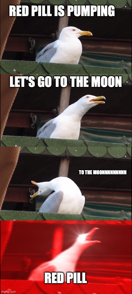 Inhaling Seagull | RED PILL IS PUMPING; LET'S GO TO THE MOON; TO THE MOONNNNNNNNN; RED PILL | image tagged in memes,inhaling seagull | made w/ Imgflip meme maker