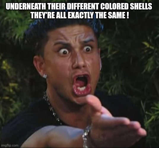 situation | UNDERNEATH THEIR DIFFERENT COLORED SHELLS 
THEY'RE ALL EXACTLY THE SAME ! | image tagged in situation | made w/ Imgflip meme maker