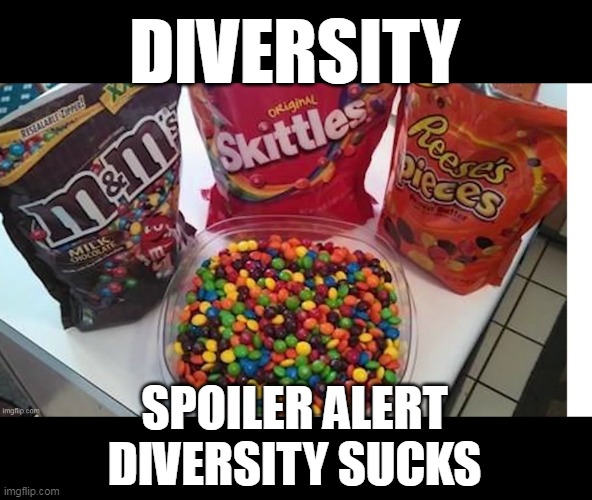 They keep trying to feed us this shit | DIVERSITY; SPOILER ALERT
DIVERSITY SUCKS | image tagged in diversity sucks skittles meme | made w/ Imgflip meme maker