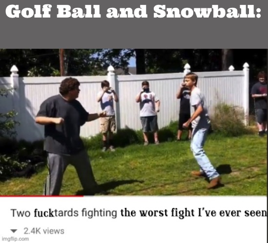 BFDI Slander #Ⅶ | Golf Ball and Snowball: | image tagged in two fucktards fighting the worst fight i've ever seen | made w/ Imgflip meme maker