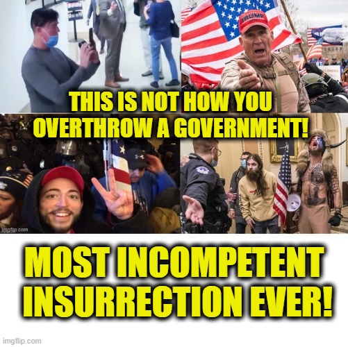 Posing as tourists was a piss-poor insurrection strategy | THIS IS NOT HOW YOU
OVERTHROW A GOVERNMENT! MOST INCOMPETENT
 INSURRECTION EVER! | image tagged in fake news | made w/ Imgflip meme maker