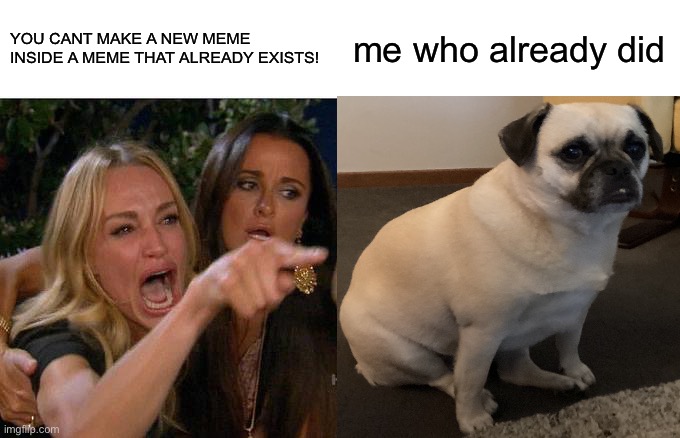 Woman Yelling At Cat | YOU CANT MAKE A NEW MEME INSIDE A MEME THAT ALREADY EXISTS! me who already did | image tagged in this,image,is,my,dog,meme | made w/ Imgflip meme maker