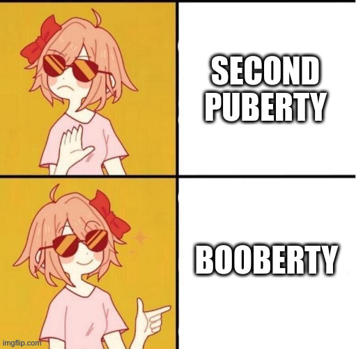 Trans Girl Drake Meme | SECOND PUBERTY; BOOBERTY | image tagged in trans girl drake meme | made w/ Imgflip meme maker