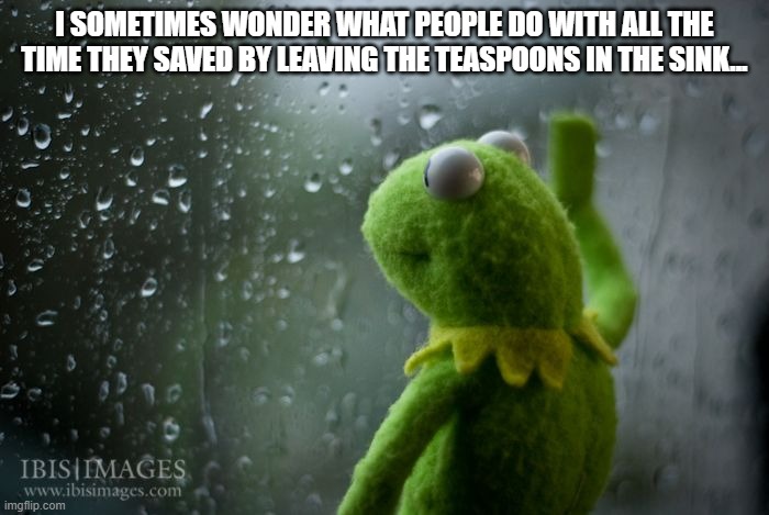 kermit window | I SOMETIMES WONDER WHAT PEOPLE DO WITH ALL THE TIME THEY SAVED BY LEAVING THE TEASPOONS IN THE SINK... | image tagged in kermit window | made w/ Imgflip meme maker