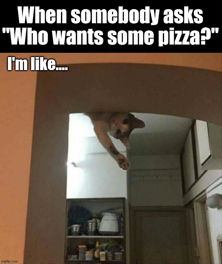 I'm in for sure | When somebody asks "Who wants some pizza?"; I'm like.... | image tagged in pizza | made w/ Imgflip meme maker