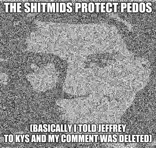 Deep fry scout | THE SHITMIDS PROTECT PEDOS; (BASICALLY I TOLD JEFFREY TO KYS AND MY COMMENT WAS DELETED) | image tagged in deep fry scout | made w/ Imgflip meme maker