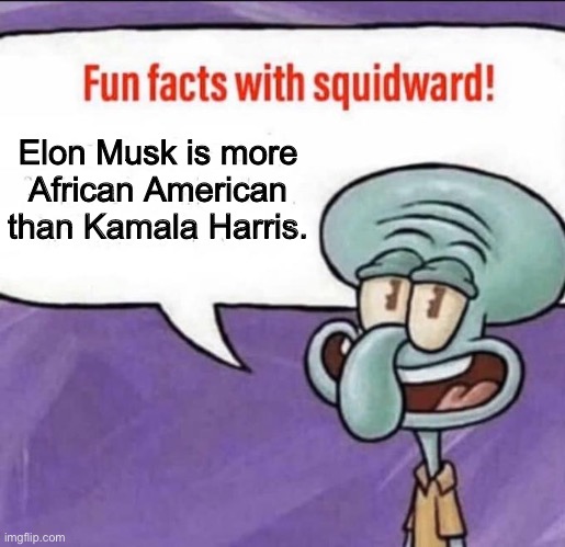 Fun Facts with Squidward | Elon Musk is more African American than Kamala Harris. | image tagged in fun facts with squidward | made w/ Imgflip meme maker