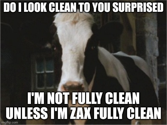 Zax Fully Clean | DO I LOOK CLEAN TO YOU SURPRISED; I'M NOT FULLY CLEAN UNLESS I'M ZAX FULLY CLEAN | image tagged in betsy,reba mcentire,nickelodeon,clean | made w/ Imgflip meme maker