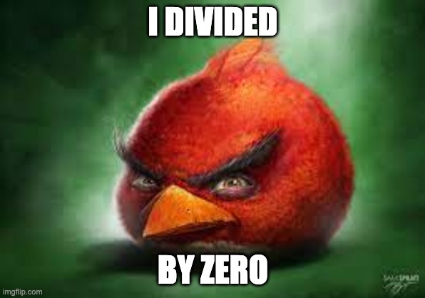 Realistic Red Angry Birds | I DIVIDED; BY ZERO | image tagged in realistic red angry birds,memes,funny,wtf,school,math | made w/ Imgflip meme maker