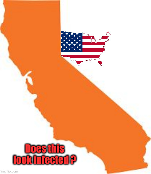 I Think It Needs Some Attention, Vote Trump | Does this look infected ? | image tagged in california,politics,political meme,funny memes,funny,donald trump | made w/ Imgflip meme maker