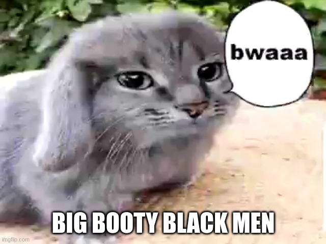 BWAA | BIG BOOTY BLACK MEN | image tagged in bwaaa | made w/ Imgflip meme maker