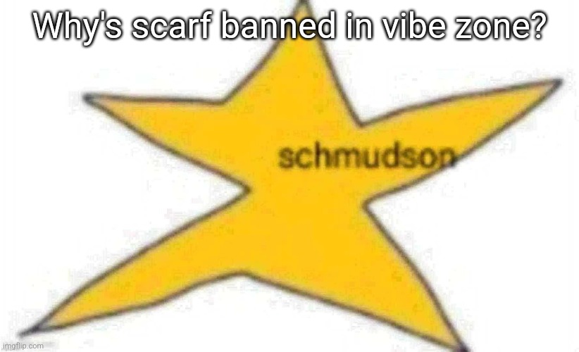 schmudson star | Why's scarf banned in vibe zone? | image tagged in schmudson star | made w/ Imgflip meme maker