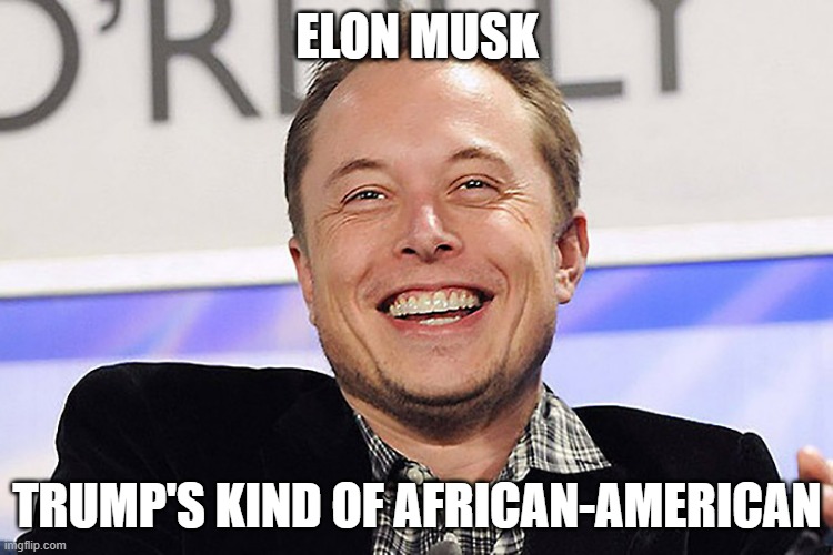 Soon, Trump will say he doesn't even know him | ELON MUSK; TRUMP'S KIND OF AFRICAN-AMERICAN | image tagged in elon musk,trump | made w/ Imgflip meme maker