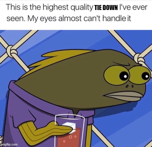 quality | TIE DOWN | image tagged in quality | made w/ Imgflip meme maker