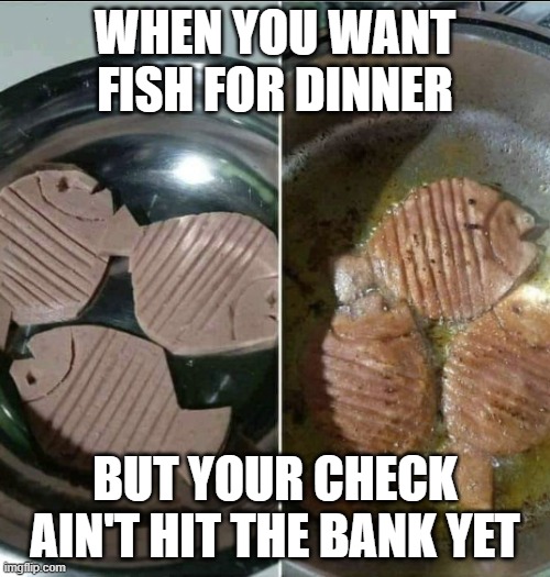 fake fish | WHEN YOU WANT FISH FOR DINNER; BUT YOUR CHECK AIN'T HIT THE BANK YET | image tagged in fish | made w/ Imgflip meme maker