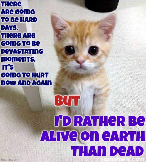 You'll Be Dead Soon Enough But While You're Here You Should At Least Try To LIVE Your Life To The Fullest | There are going to be hard days.  There are going to be devastating moments.  It's going to hurt now and again; But; I'd rather be alive on earth; Than dead | image tagged in memes,cute cat,when life gives you lemons,get a life,the meaning of life,what am i doing with my life | made w/ Imgflip meme maker