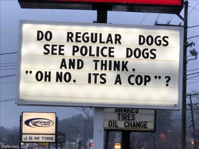 Do They? | image tagged in you had one job | made w/ Imgflip meme maker