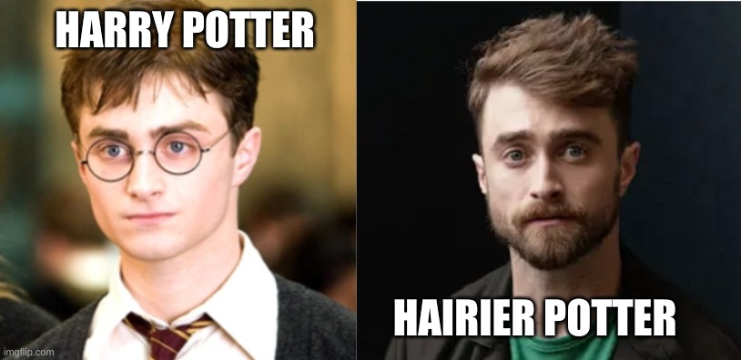 hairier potter | HARRY POTTER; HAIRIER POTTER | image tagged in puns | made w/ Imgflip meme maker